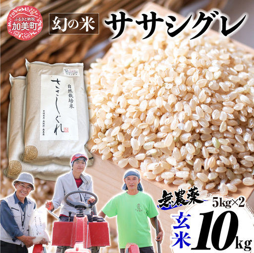 【新米予約】《 希少品種米 》 米 令和8年 宮城県産 ササシグレ ( 栽培期間中農薬・肥料不使用 ) 玄米 10kg 無農薬 ｜ nt-ss10-gn-r8