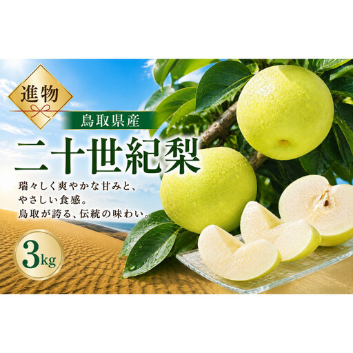 山根農園 二十世紀梨 ギフト3kg