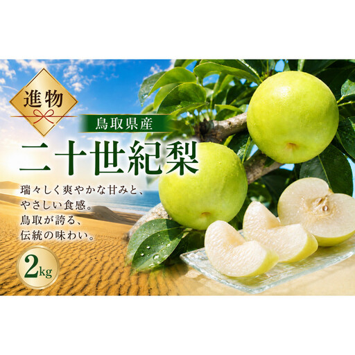山根農園 二十世紀梨 ギフト2kg