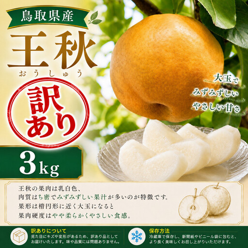 【2026年11月～12月頃の発送】山根農園 王秋 訳あり3kg　　　