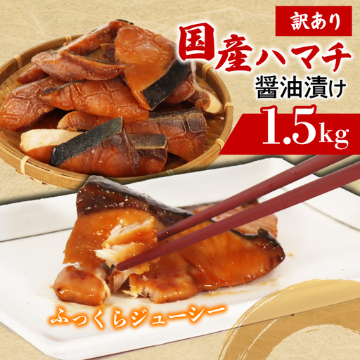 訳あり ぶりの若魚 はまち 切り身 1.5kg 加熱用 国産