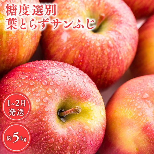 りんご  糖度選別 葉とらずサンふじ 約5kg 【hi-0001-039】