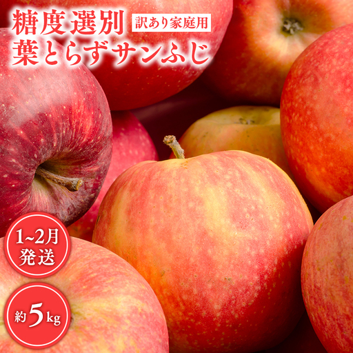 りんご 糖度選別葉とらずサンふじ 訳あり 約5kg 【hi-0001-041】 