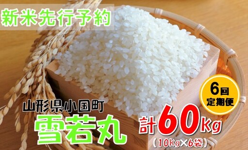 【6回定期便】【令和８年産米 先行予約】雪若丸10kg　計60kg　おぐにのこめ