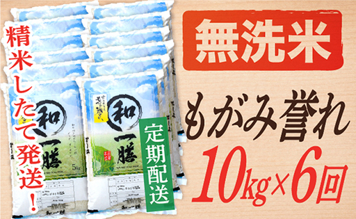 【定期便】【無洗米】 令和8年産予約 もがみ誉れ 10kg (5kg×2) 6回配送　【初回R9年1月発送】