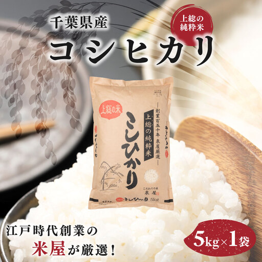 令和8年度産 上総の純粋米コシヒカリ 5kg [厳選]千葉県産