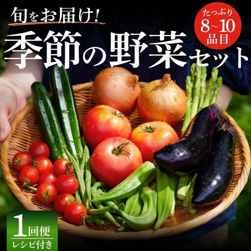 季節の野菜セット 1回 野菜セット