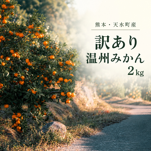 訳あり 温州みかん箱込み2キロ