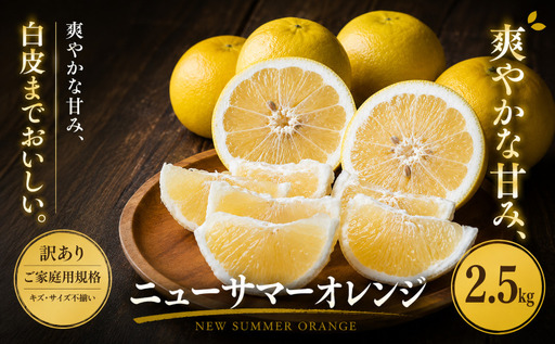 [訳あり 愛媛県産ニューサマーオレンジ 合計約2.5kg]『2027年4月中旬〜5月下旬迄に順次出荷予定』 日向夏 小夏 甘い ご家庭用 果汁 果物 くだもの フルーツ みかん オレンジ 柑橘 人気柑橘 特産品 株式会社OSN 愛媛県 西予市 [常温]OOS0009