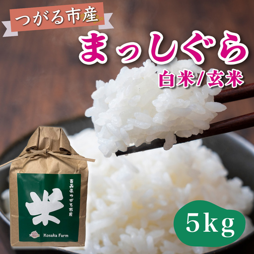 令和8年産 つがる市産 まっしぐら 白米／玄米 5kg [1079]