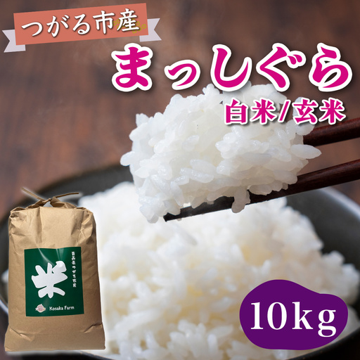 令和8年産 つがる市産 まっしぐら 白米／玄米 10kg [1080]