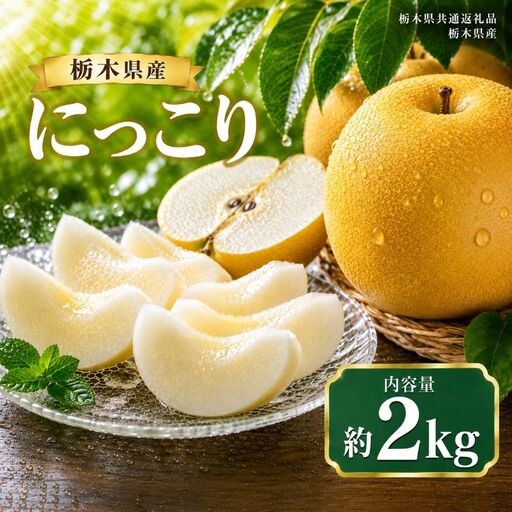 梨 にっこり 約2kg|栃木県共通返礼品 栃木県産 栃木県 那珂川町