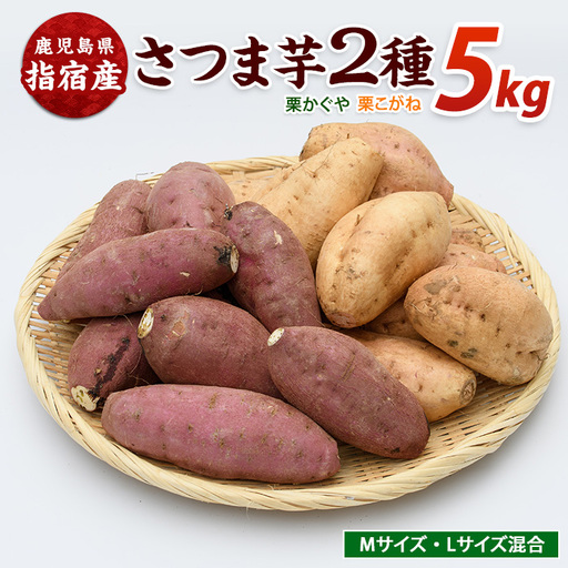 さつまいも 2種 栗かぐや 栗こがね 約5kg サツマイモ IB084-002