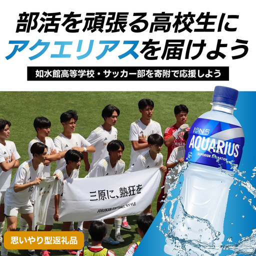 【思いやり型返礼品】アクエリアス500ml×24本（1箱） 学校支援 部活動 クラブ 寄贈型 如水館 あしなが型 応援 コカ・コーラ N001