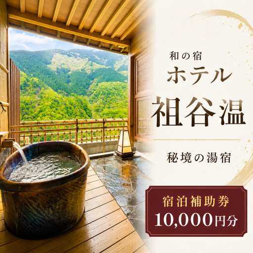 ホテル祖谷温泉 宿泊券 10,000円分 徳島県 三好市 旅行 [ ホテル ]