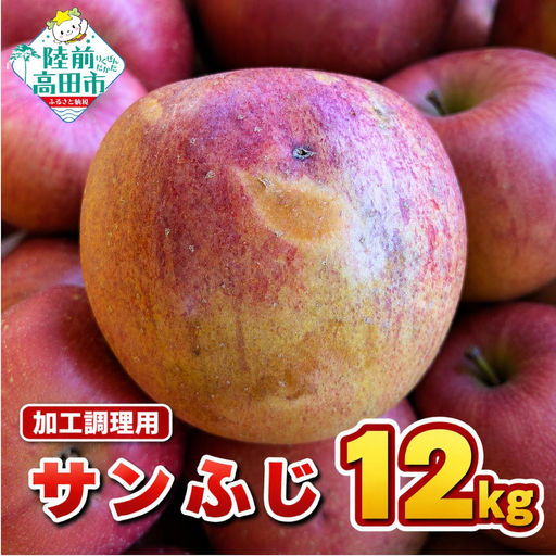 【加工調理用】米崎りんご「サンふじ」 約12kg りんご スイーツやサラダに 東北 岩手 陸前高田