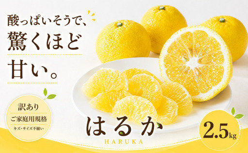 [訳あり 愛媛県産はるか 合計約2.5kg]『2027年2月上旬〜3月下旬迄に順次出荷予定』 上品な甘さ 甘い あまい 果汁 果物 くだもの フルーツ みかん オレンジ 柑橘 人気柑橘 特産品 株式会社OSN 愛媛県 西予市 [常温]OOS0013