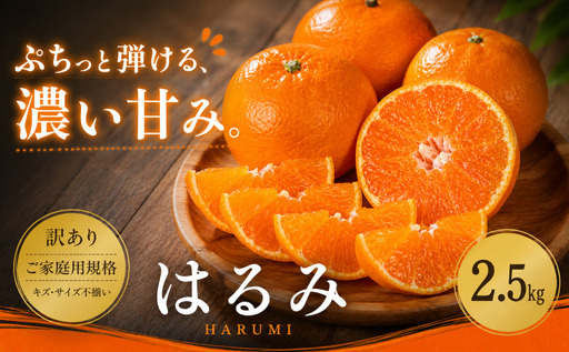[訳あり 愛媛県産はるみ 合計約2.5kg]『2027年2月上旬〜3月下旬迄に順次出荷予定』甘い ご家庭用 果汁 果物 くだもの フルーツ みかん オレンジ 柑橘 人気柑橘 特産品 株式会社OSN 愛媛県 西予市 [常温]OOS0017
