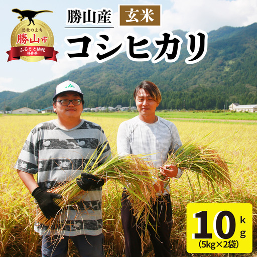 玄米 勝山産 コシヒカリ 玄米 10kg(5kg×2袋)[先行予約]