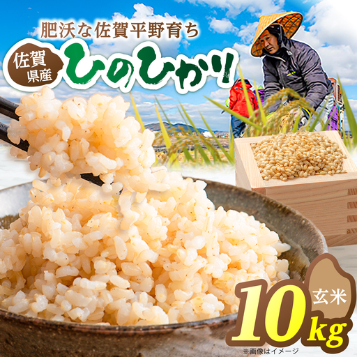 【先行予約 2026年10月～発送】ヒノヒカリ 玄米 10kg 【片渕農園】令和8年産 新米 [IDG007]
