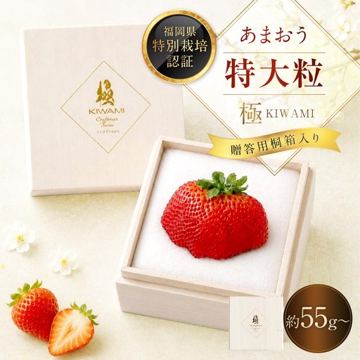 あまおう 「 極 」 特大粒 1粒（約55g～79g） いちご イチゴ 苺 果物 くだもの フルーツ 果実 果肉 希少 桐箱 贈り物 贈答用 プレゼント 国産 福岡県産 【 2026年11月下旬-2027年4月上旬発送予定 】
