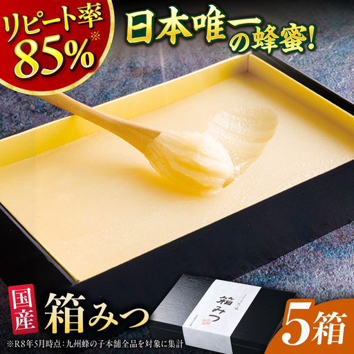 箱みつ 400g×5箱 広川町/株式会社九州蜂の子本舗[AFAI053]