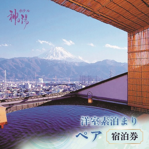 温泉満喫!洋室素泊り宿泊券 [山梨 温泉 宿泊 貸し切り露天風呂]