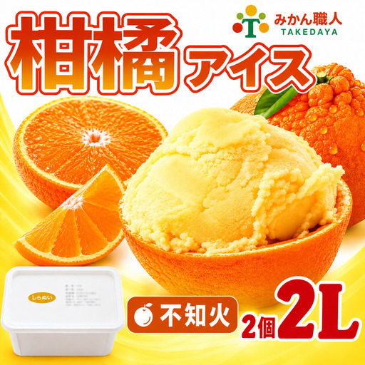 柑橘アイス 計2L(1個1000ml) [ 不知火 ] 愛媛県 愛南町 みかん職人武田屋