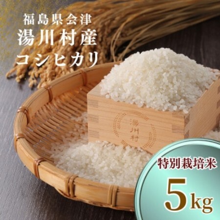 令和8年産湯川村産コシヒカリ【特別栽培米・精米】5kg  R8.12月発送分【1773977】