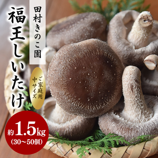 [先行予約/2026年10月末以降発送]福王しいたけ ご家庭用中サイズ1.5kg IA-019