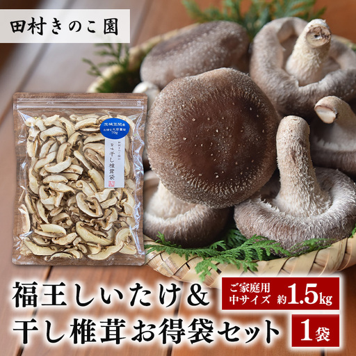 [先行予約/2026年10月末以降発送]ご家庭用福王しいたけ(中サイズ1.5kg)&干し椎茸お得袋セット IA-020