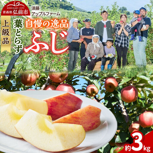 【26年11月下旬～発送】りんご 葉とらず ふじ【上級品】約3kg 先行受付 青森県 弘前市 果物 フルーツ 林檎 リンゴ くだもの ギフト 贈り物 贈答