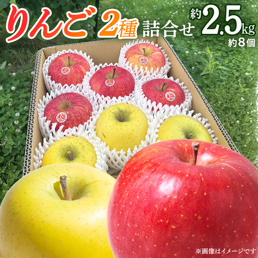 りんご 2種 詰め合わせ 約2.5kg (FB002)