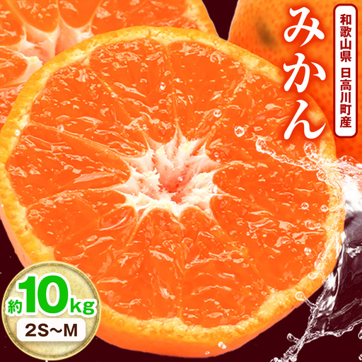 日高川町産みかん 約10kg 2S-M サイズおまかせ マル二