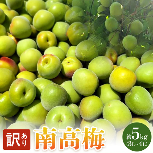 南高梅 約5kg (2L~4L) マル二