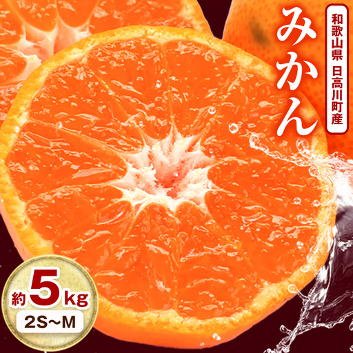 日高川町産みかん 選べる 約5kg 2S-M サイズおまかせ マル二