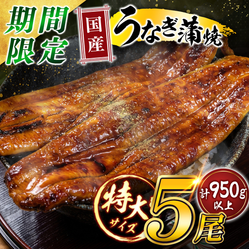 特大 国産 うなぎ 蒲焼 5尾(計950g以上)