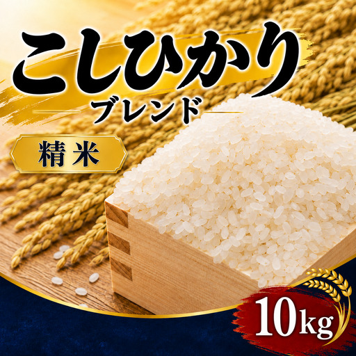 【令和7年産】 精米 10kg コシヒカリブレンド 米 白米