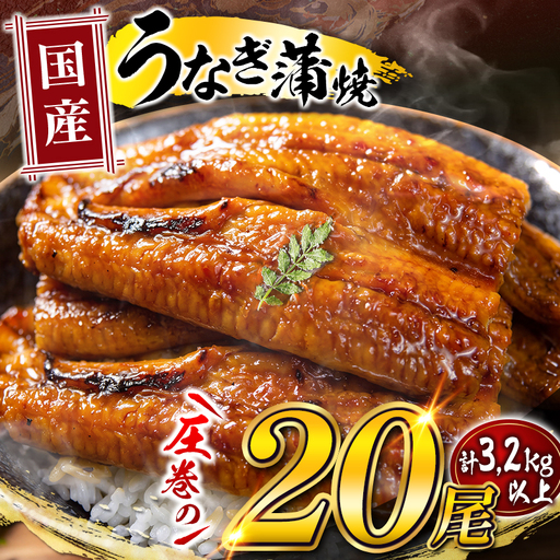 国産 うなぎ 蒲焼 20尾(計3200g以上)