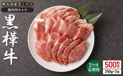 [1ヶ月毎2回定期便]黒毛和牛 黒樺牛 焼肉用カルビ 計約500g (約250g×2回) 杉本本店