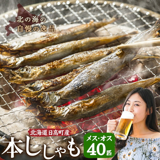 シシャモ 40匹 オス メス 石崎水産 ししゃも