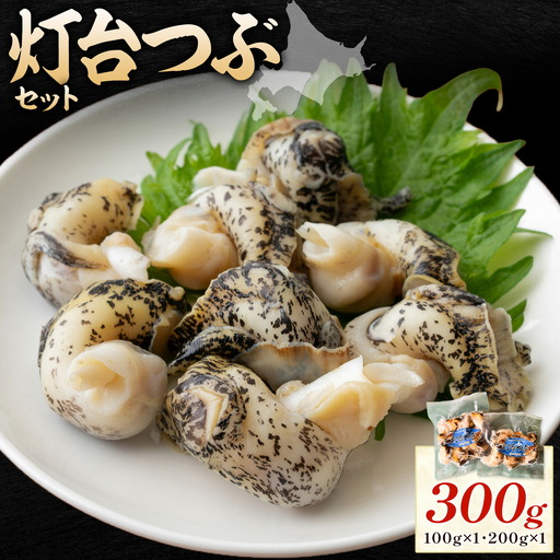 貝類 灯台つぶ 300g 100g 200g 各1 北海道産 コリコリ食感 石崎水産