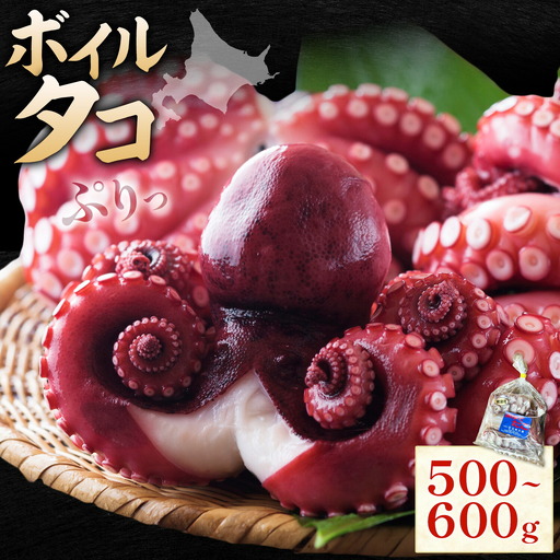 海鮮 日高町産 ボイルタコ 500〜600g 食べきり 石崎水産