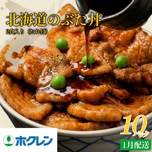 【1月配送】ホクレン 北海道のぶた丼 （2食入り）250g×10袋 北海道産 豚肉使用 産地直送 冷凍