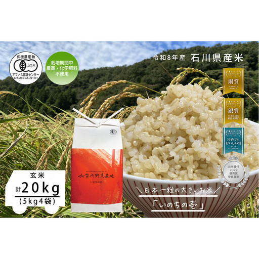 《令和8年産 新米 先行予約》【お米グランプリ3部門受賞】＜有機JAS認証米＞日本一粒の大きいお米『いのちの壱』玄米20kg
