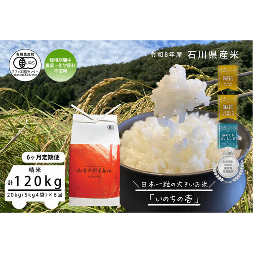 《令和8年産 新米 先行予約》「6ヶ月定期便」【お米グランプリ3部門受賞】＜有機JAS認証米＞日本一粒の大きいお米『いのちの壱』白米20kg×6回