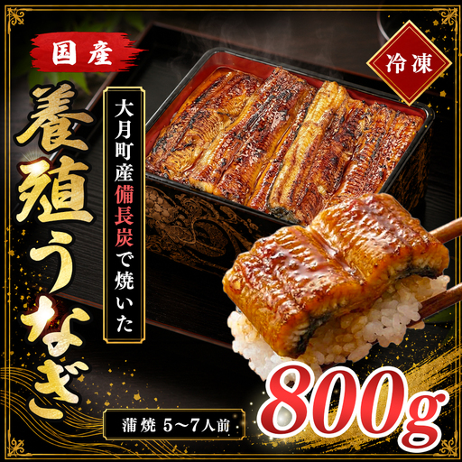 国産 うなぎ 蒲焼 800g 大容量 備長炭焼き 関西風 養殖 うなぎ 鰻 ウナギ うなぎ蒲焼 炭火焼き 冷凍 高知県 大月町