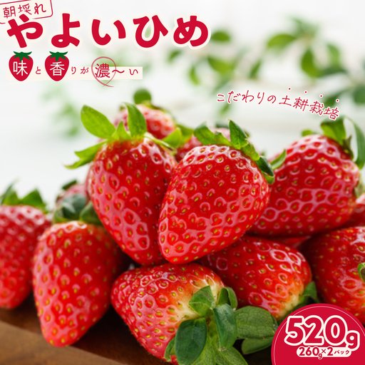 いちご やよいひめ 約260g×2パック 1箱