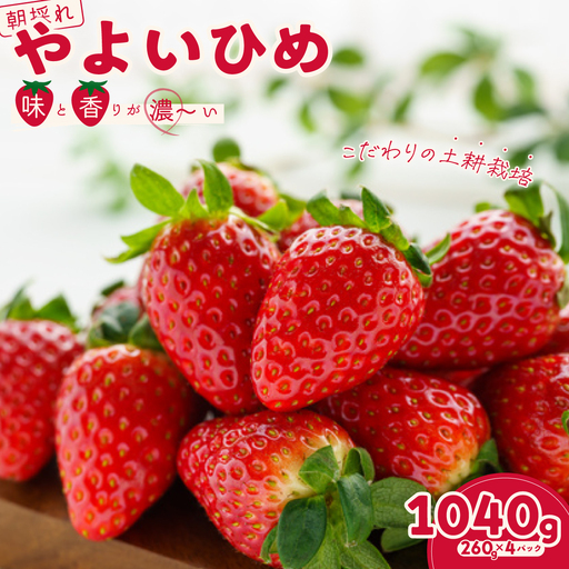 いちご やよいひめ 約260g×4パック
