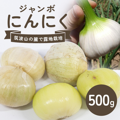 ジャンボにんにく 500g にんにく 産地直送 茨城県 石岡市